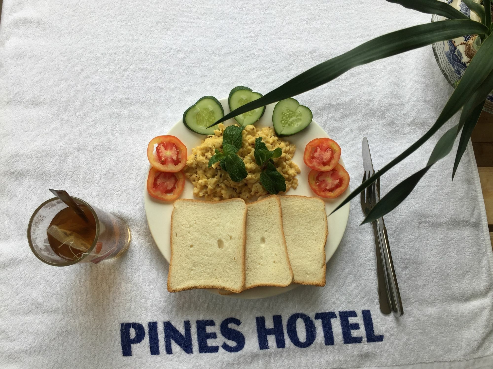 Pines Hotel Da Lat Exterior photo